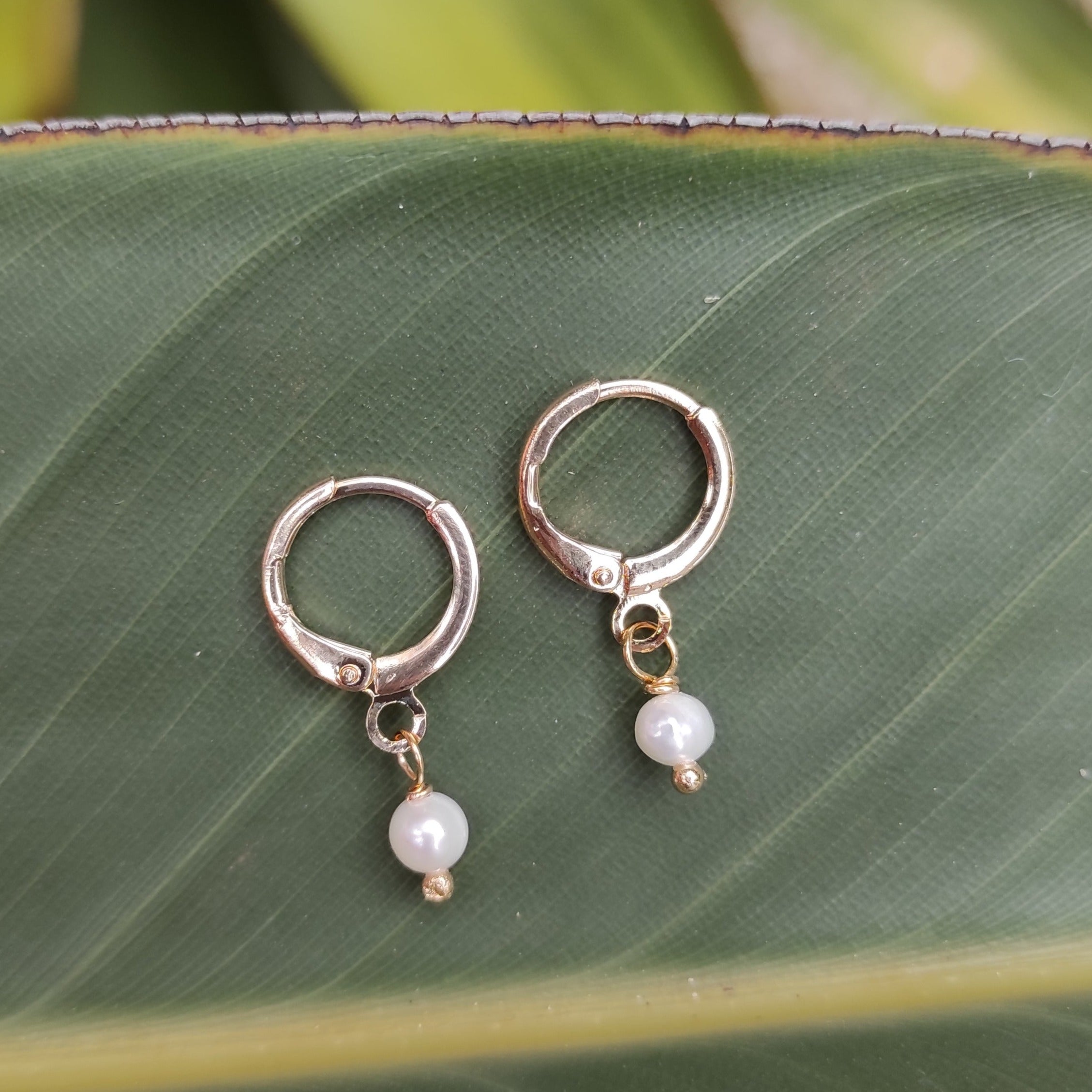 ARGOLINHA PÉROLA OURO