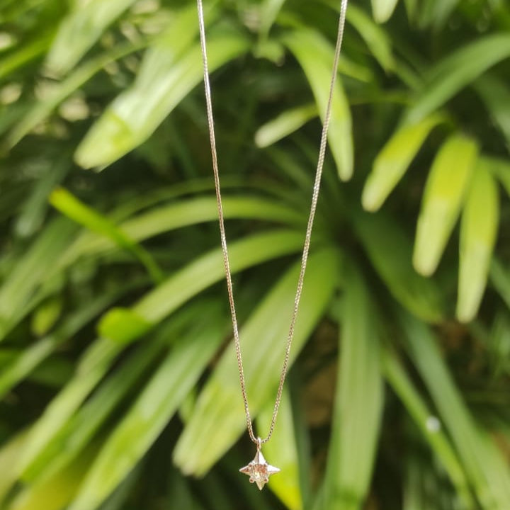 COLAR ESTRELA DE LUZ RÓDIO